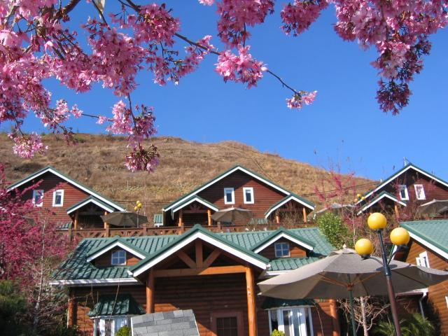 清境豐田桂林山莊民宿 Ren'ai Exterior photo